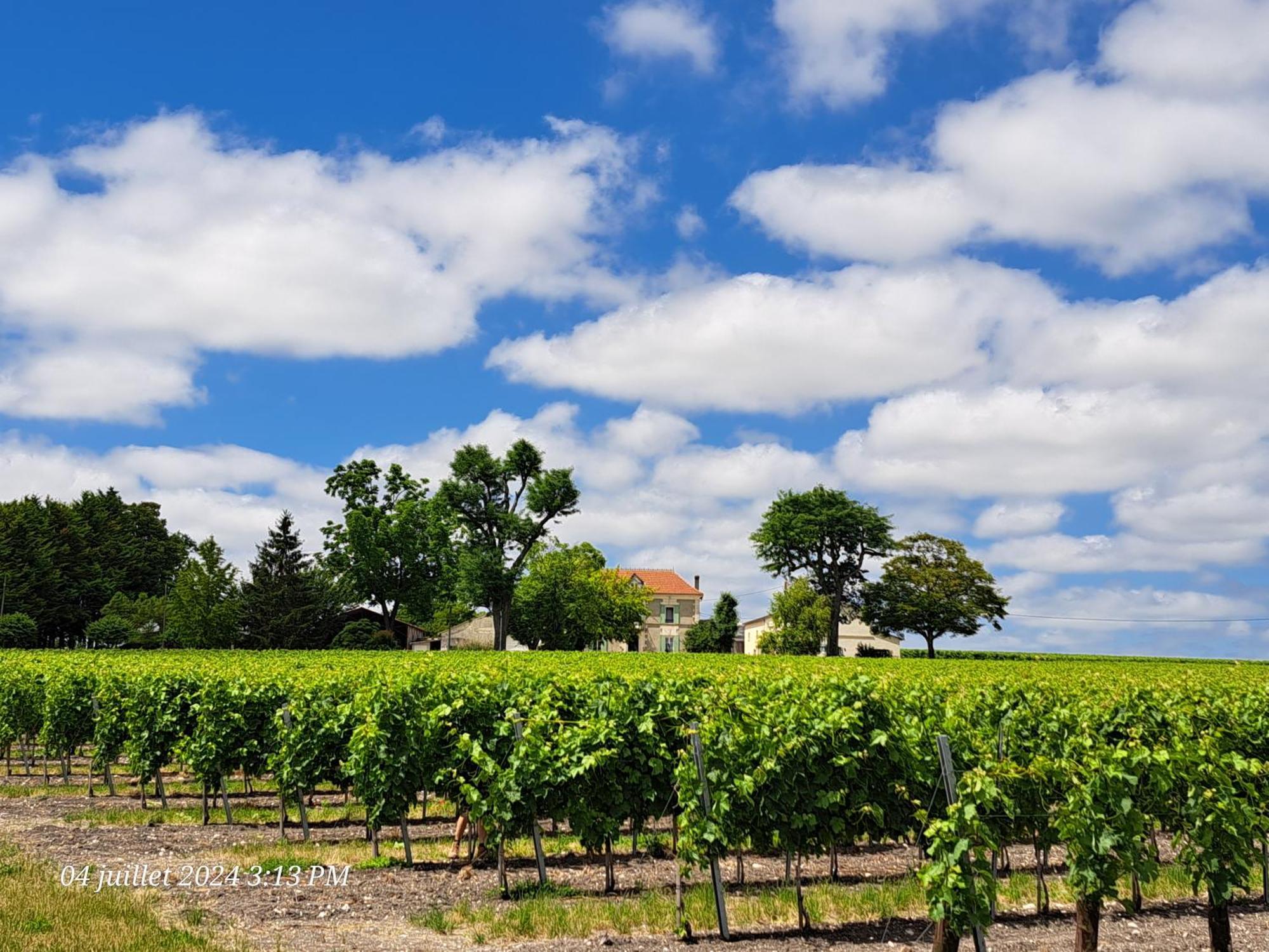 La Metairie Au Milieu Des Vignes Appartement Réaux Buitenkant foto