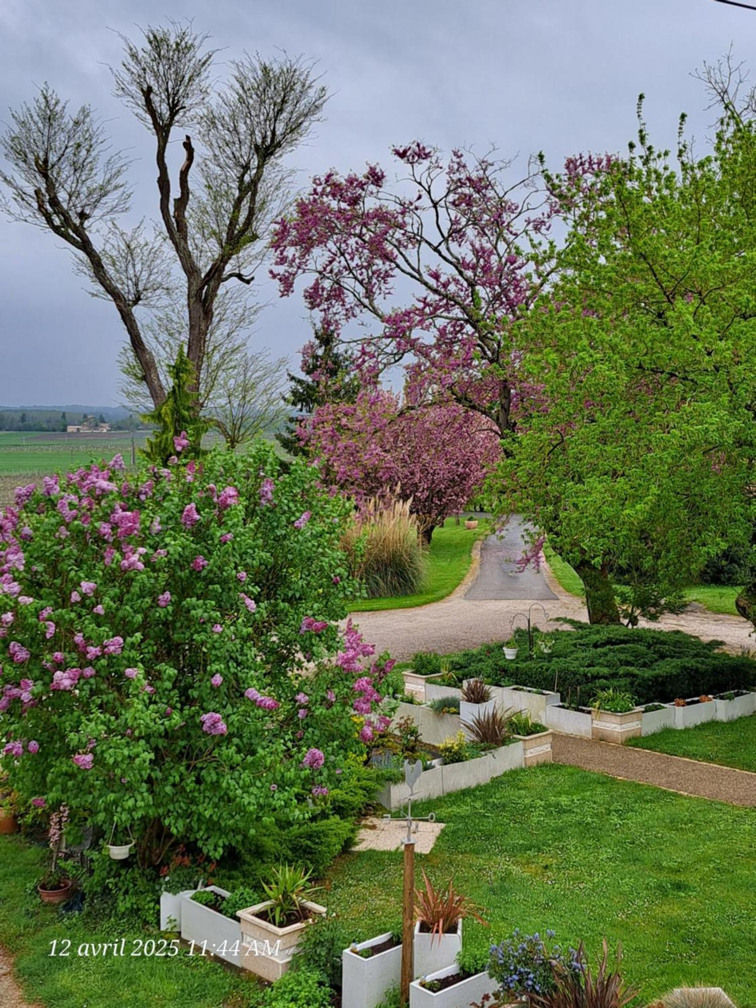 La Metairie Au Milieu Des Vignes Appartement Réaux Buitenkant foto
