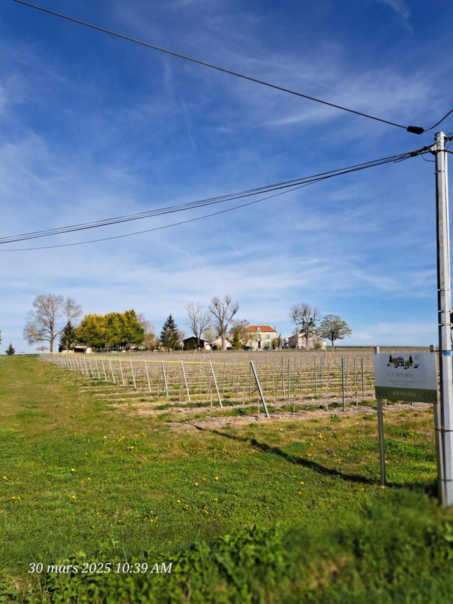 La Metairie Au Milieu Des Vignes Appartement Réaux Buitenkant foto